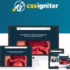 CSS Igniter Vidiho Pro Theme