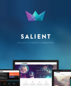 Salient – Responsive Multi-Purpose Theme